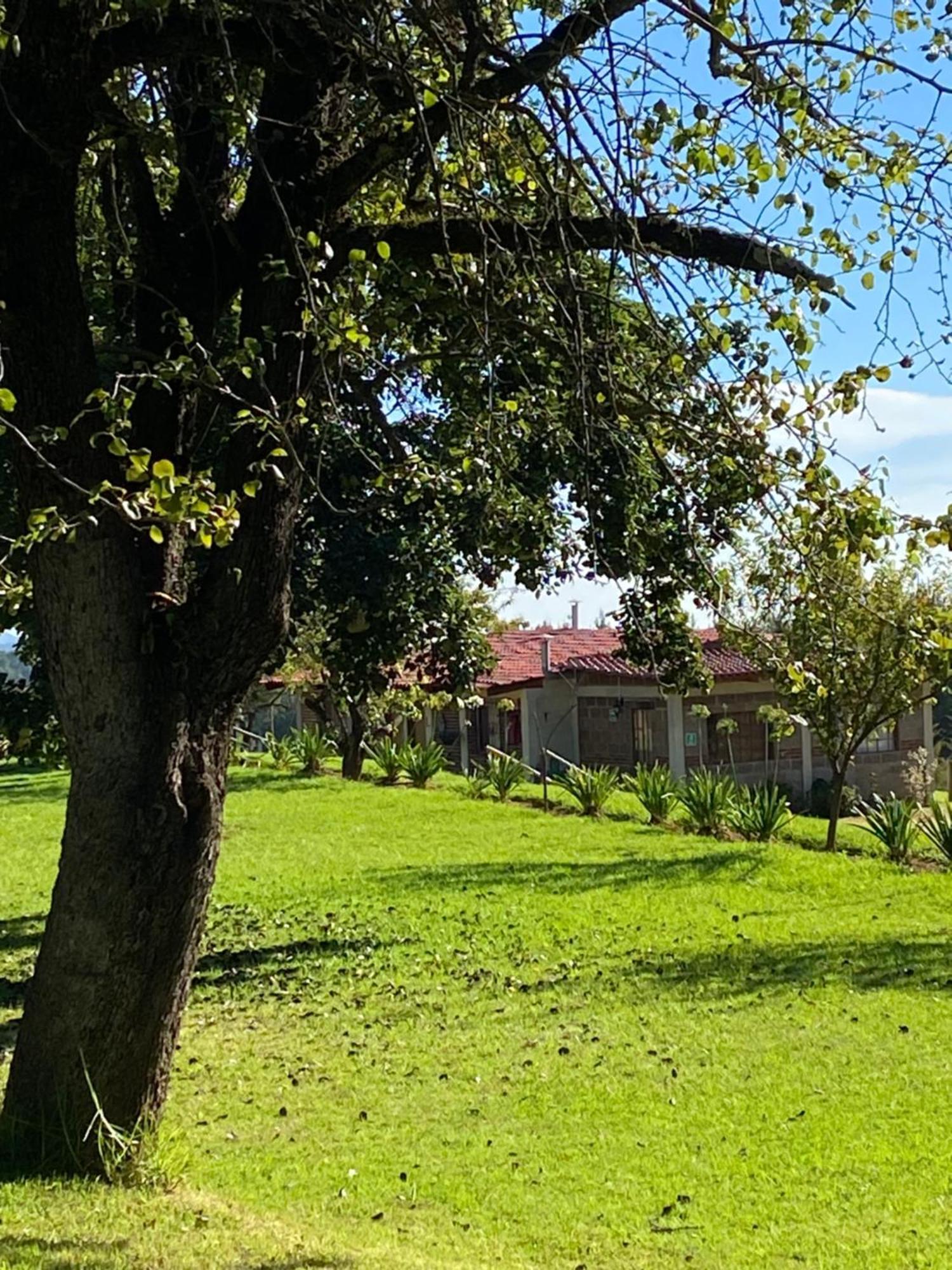 Cabanas Huerta La Mision, Zacatlán エクステリア 写真